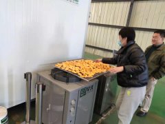 食品烘干设备/食品烘干机-南瓜片是怎么烘干的呢?